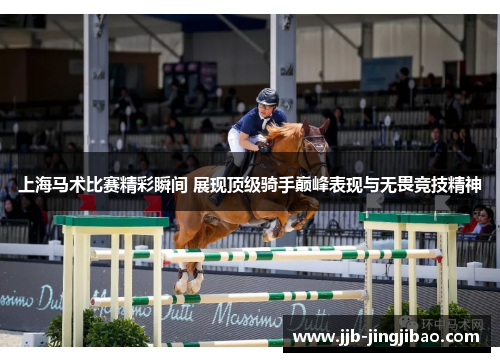 上海马术比赛精彩瞬间 展现顶级骑手巅峰表现与无畏竞技精神