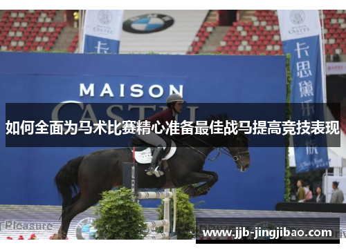 如何全面为马术比赛精心准备最佳战马提高竞技表现